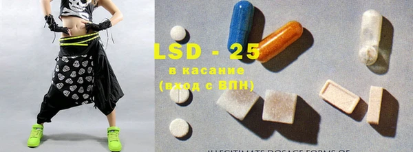 PSILOCYBIN Гусиноозёрск
