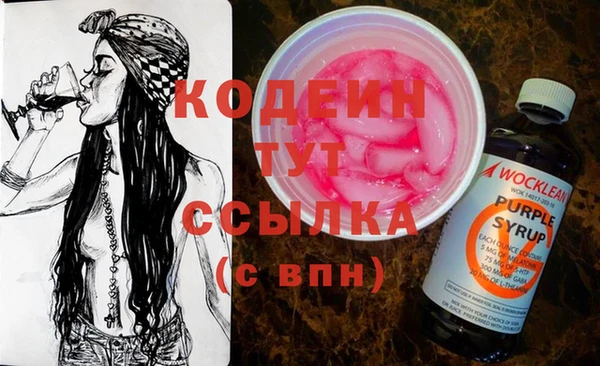 ПСИЛОЦИБИНОВЫЕ ГРИБЫ Гусев