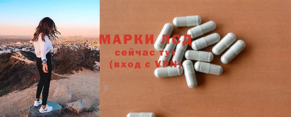 ПСИЛОЦИБИНОВЫЕ ГРИБЫ Гусев
