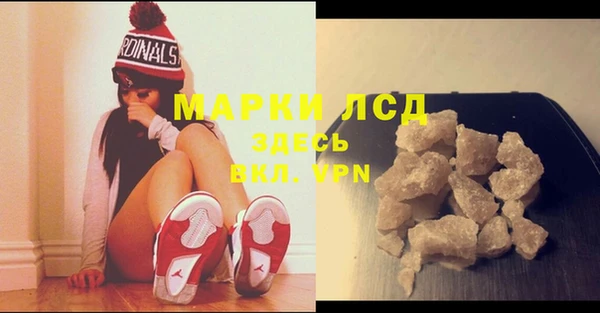 PSILOCYBIN Гусиноозёрск