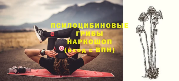 ПСИЛОЦИБИНОВЫЕ ГРИБЫ Гусев