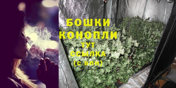 твердый Гусь-Хрустальный