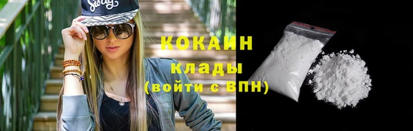 твердый Гусь-Хрустальный