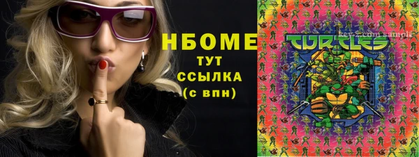 ПСИЛОЦИБИНОВЫЕ ГРИБЫ Гусев
