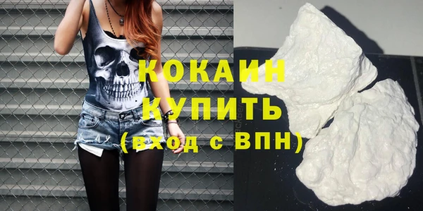 ПСИЛОЦИБИНОВЫЕ ГРИБЫ Гусев