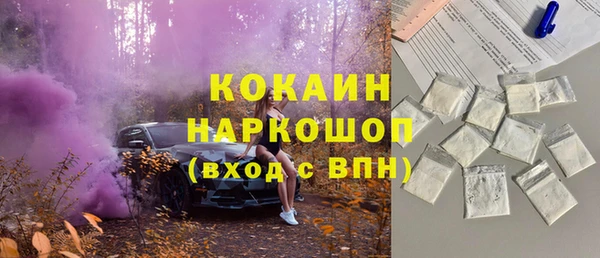 PSILOCYBIN Гусиноозёрск