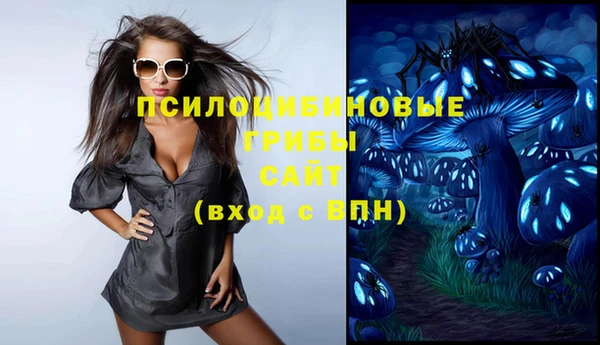 ПСИЛОЦИБИНОВЫЕ ГРИБЫ Гусев