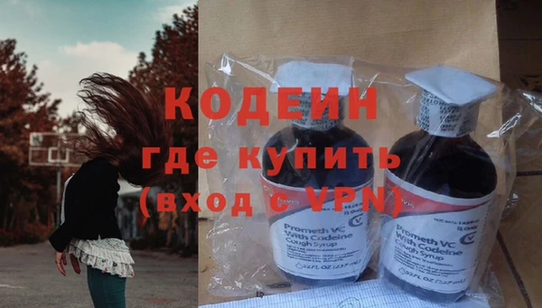ПСИЛОЦИБИНОВЫЕ ГРИБЫ Гусев
