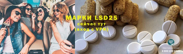 PSILOCYBIN Гусиноозёрск