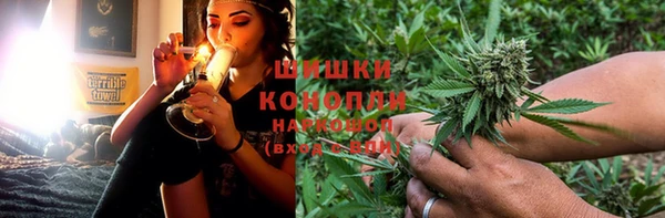 ПСИЛОЦИБИНОВЫЕ ГРИБЫ Гусев