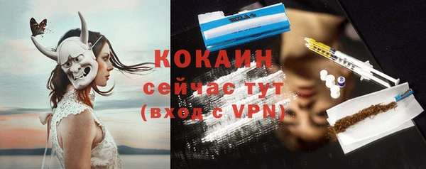 PSILOCYBIN Гусиноозёрск