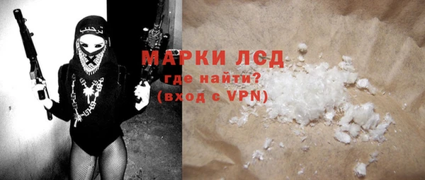 ПСИЛОЦИБИНОВЫЕ ГРИБЫ Гусев